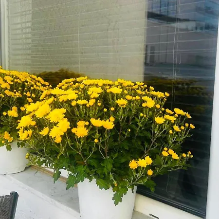 Apartment Cinema Vardar Apartment, Downtown, Pedestrian Zone, #free Parking# Skopje