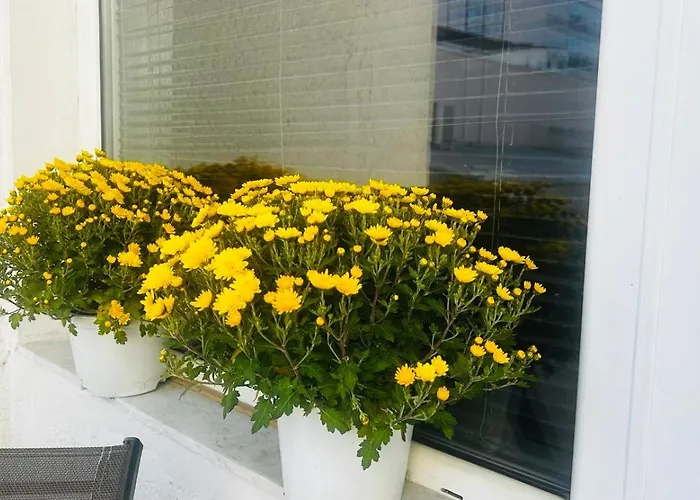 아파트 Cinema Vardar Apartment, Downtown, Pedestrian Zone, #free Parking# 스코페